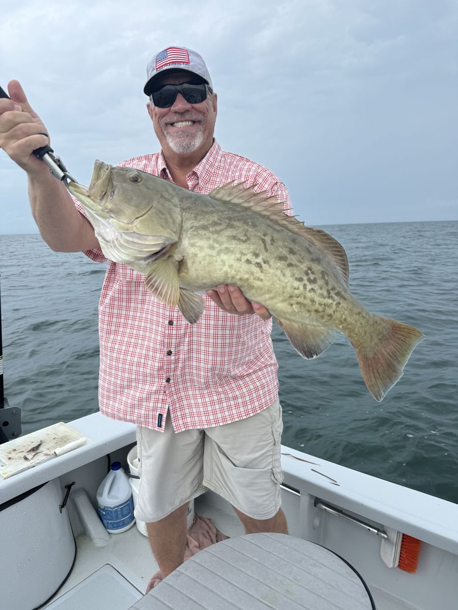 A hard-fighting grouper boated on shallow structure