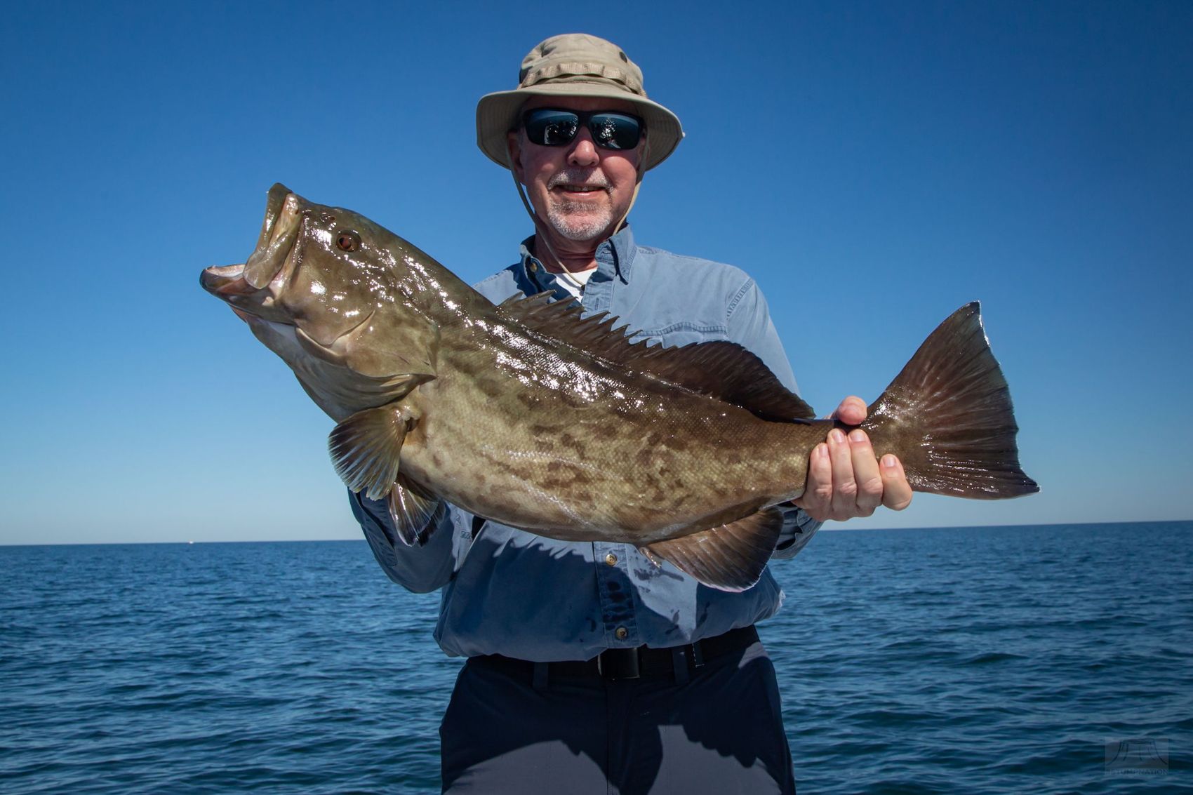 A big gag grouper caught nearshore off the Nature Coast