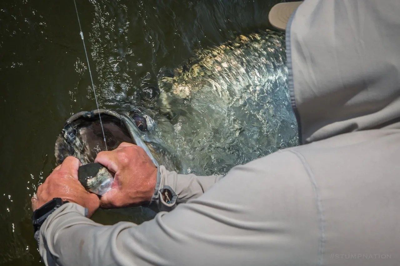 Fly fishing for tarpon on the Nature Coast
