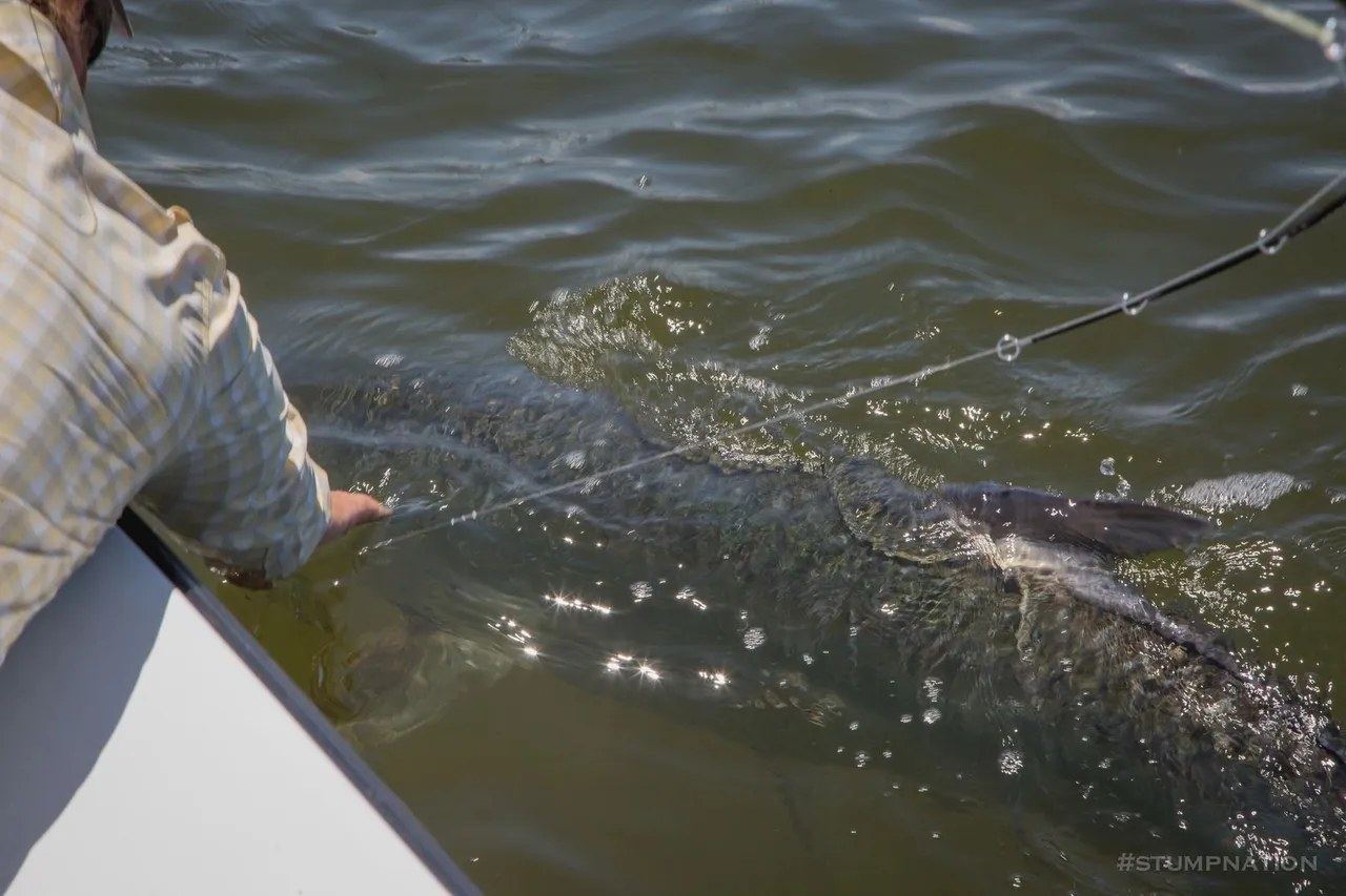 Guided fishing on Florida's Nature Coast with Homosassa Fishing Company